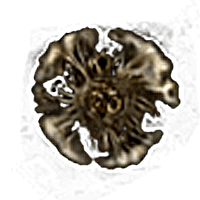 Runes - Elden Ring Runes