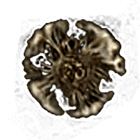 Runes - Elden Ring Runes