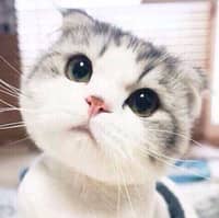 003 - blackwukong-zhenwan